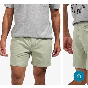 Chubbies - The Problem Solvers 5.5 insane sage green
